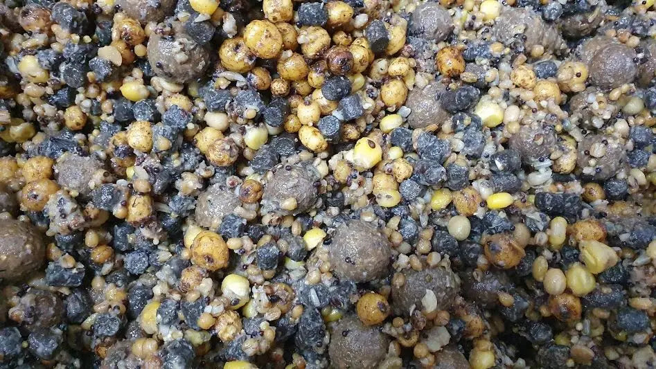 Myon Baits Team Sacosu Turcesc Octombrie 2019