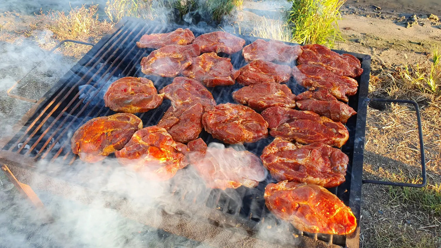 Myon Baits Team Sacosu Turcesc Octombrie 2019