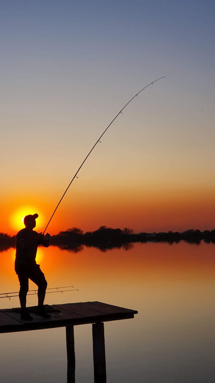 Myon Baits Team Sacosu Turcesc Octombrie 2019