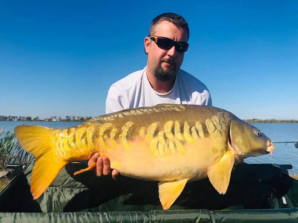 Myon Baits Team Sacosu Turcesc Octombrie 2019