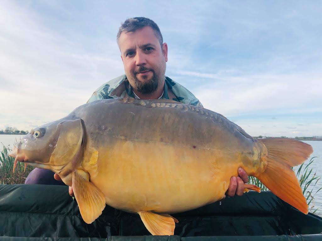 Myon Baits Team Sacosu Turcesc Octombrie 2019
