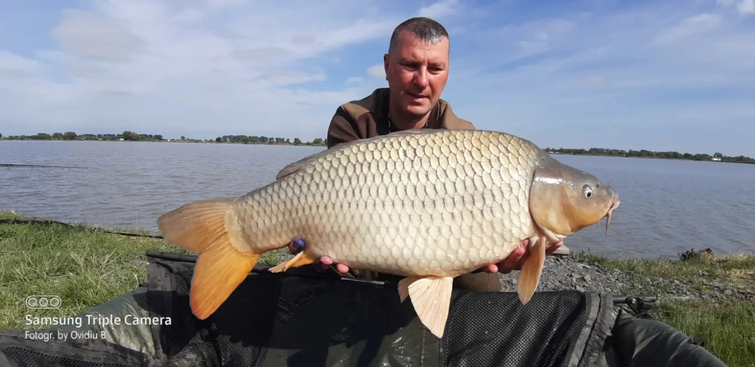 BEST 5 Myon Baits Team ’Sacosu Turcesc 15 17 Mai 2020’’