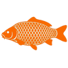CarpMentor App