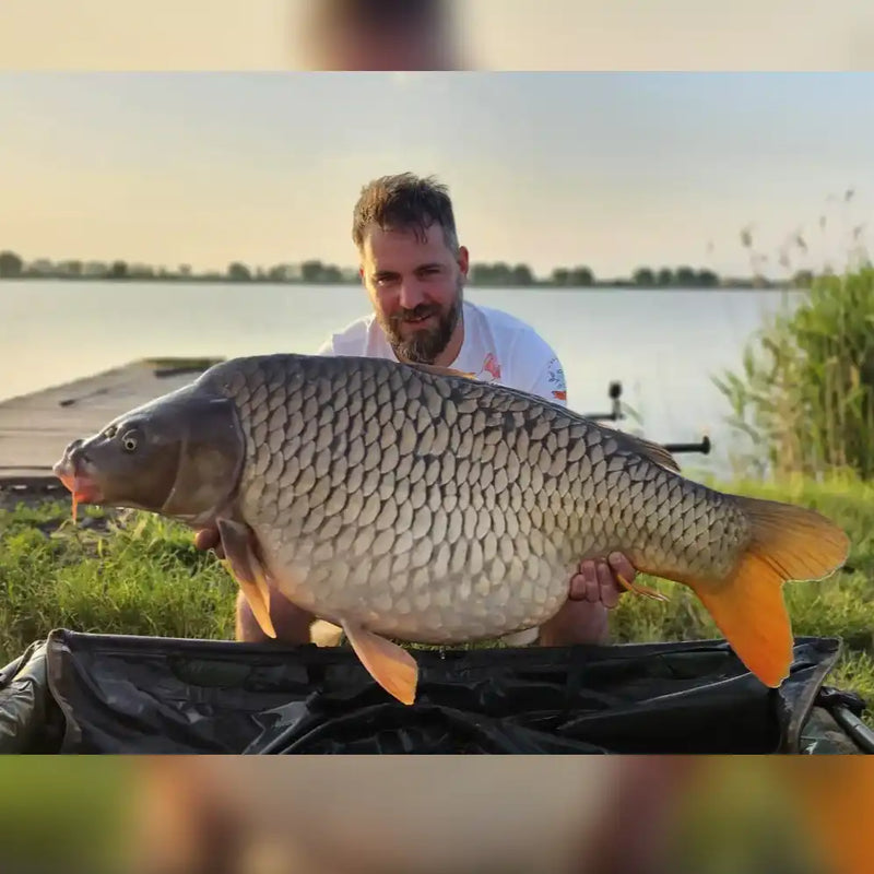 Nemes Levente captura crap Myon Baits