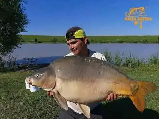 Lind Petru Marius captura crap Myon Baits