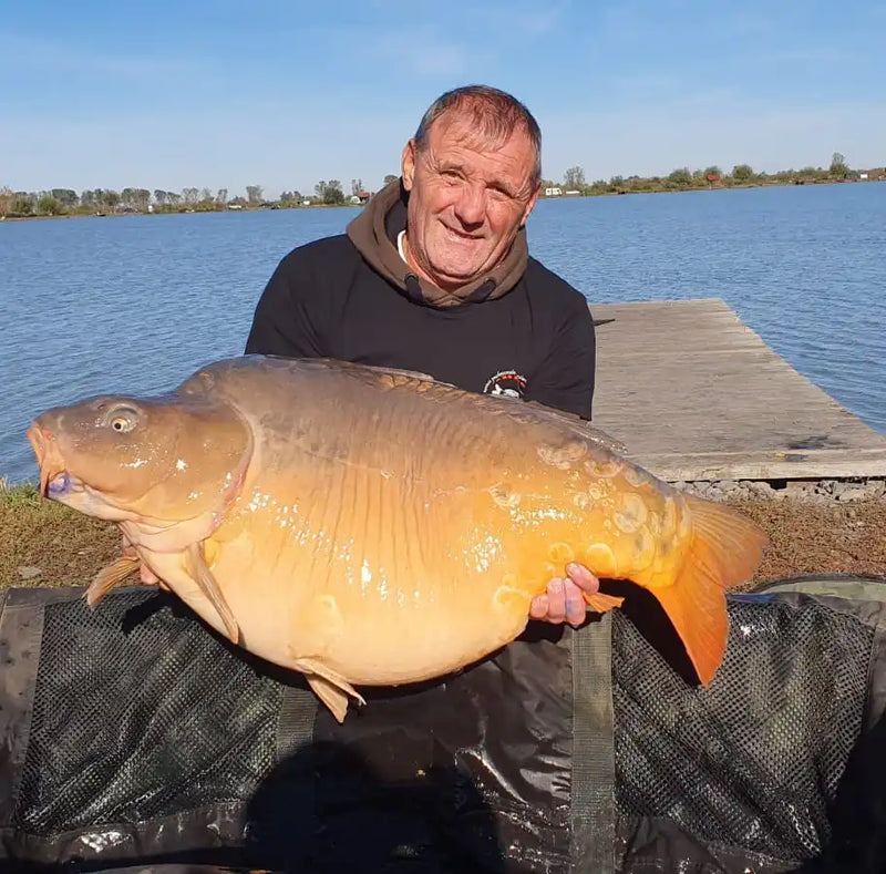 Molnar Gyula captura crap Myon Baits