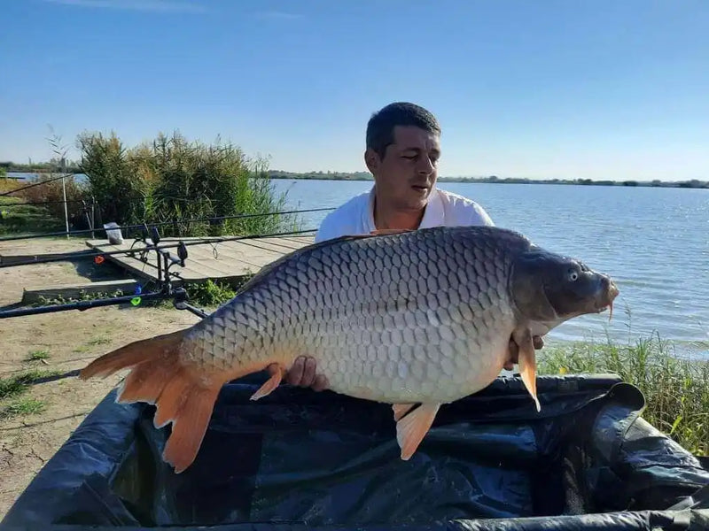 Jurcoane Cosmin captura crap Myon Baits