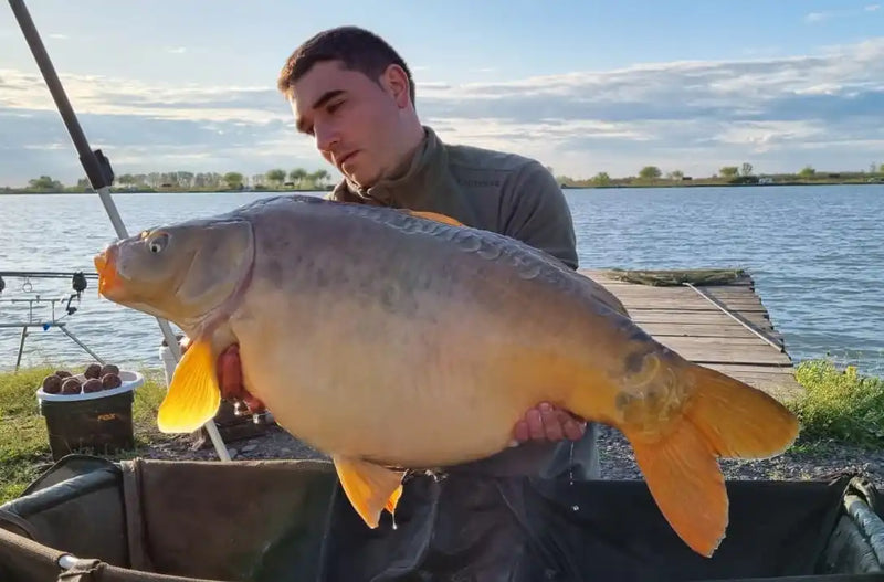 Blidar Marius captura crap Myon Baits