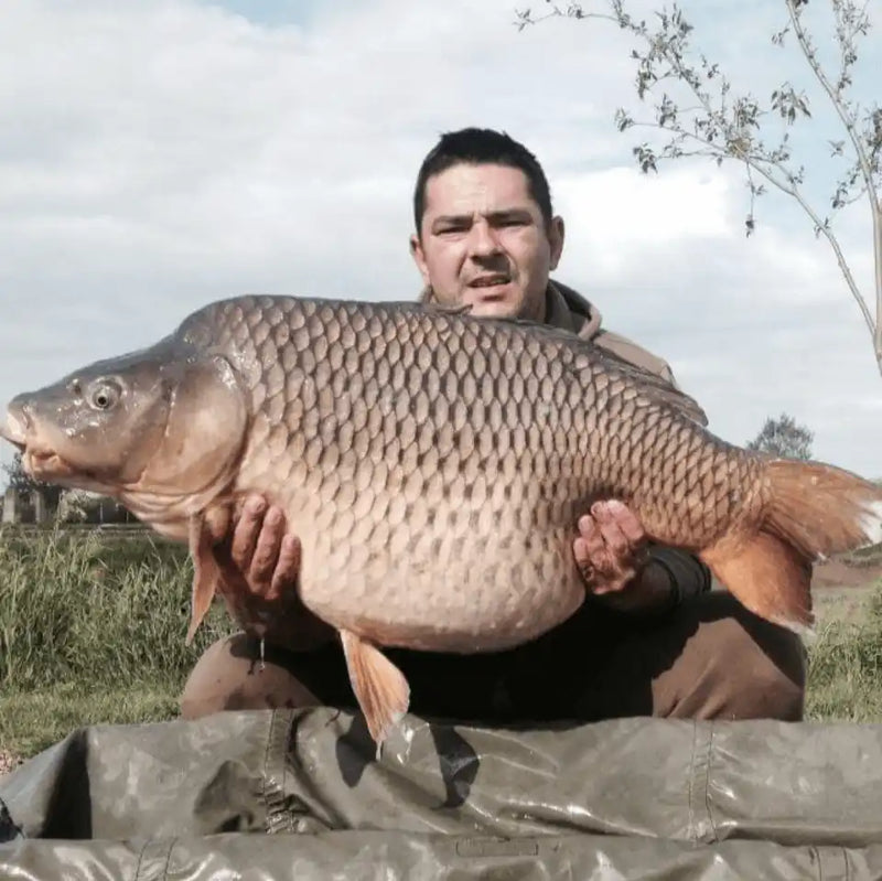 Teslariu Dan captura crap Myon Baits
