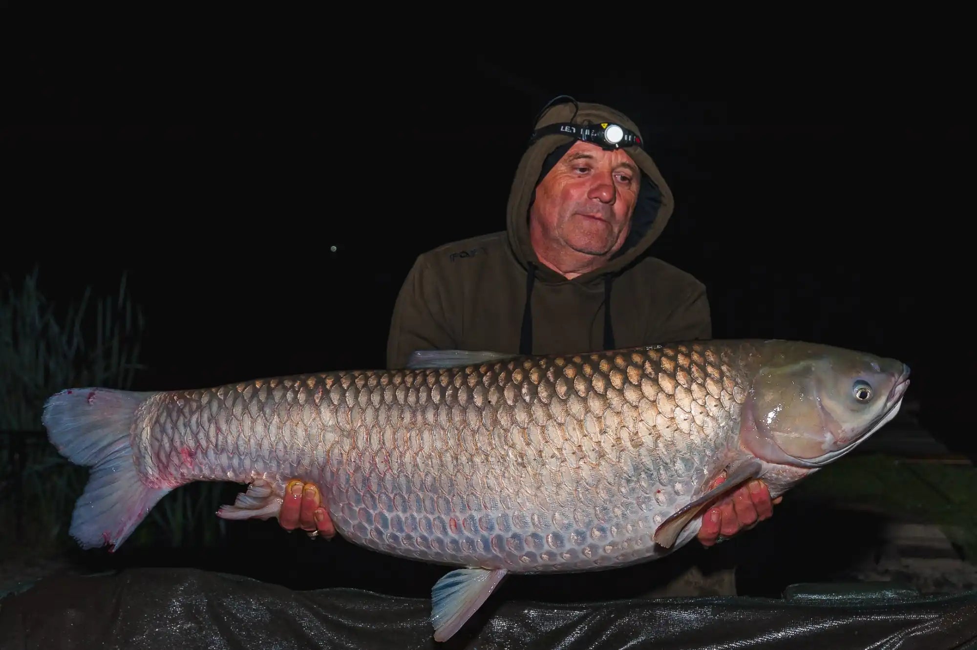 Bărbate ținând un pește mare, proaspăt prins.