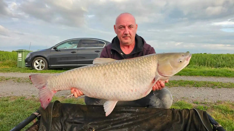 Josan Lucian captura crap Myon Baits