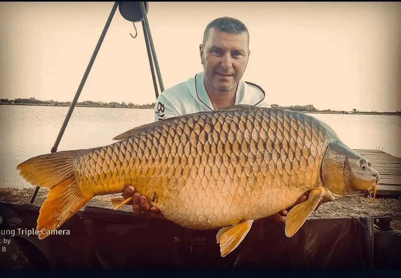 Ovidiu Bogos captura crap Myon Baits